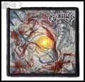 GRACELESS -- Patch (3).jpg