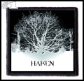 HAKEN -- Patch (1).jpg