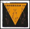 LUGUBRUM -- Patch (11).jpg