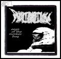 PHYLLOMEDUSA -- Patch (1).jpg