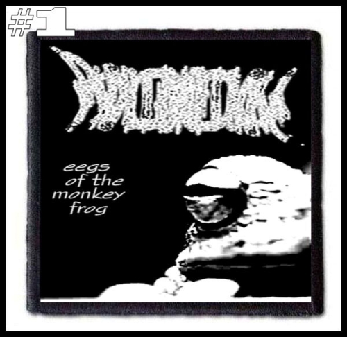 PHYLLOMEDUSA -- Patch (1).jpg