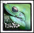 PHYLLOMEDUSA -- Patch (7).jpg