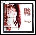 PUTRID OFFAL -- Patch (4).jpg