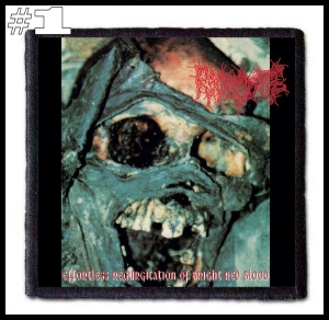 REGURGITATE -- Patch