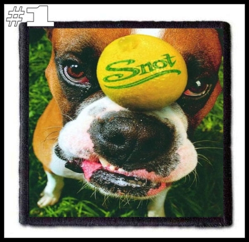 SNOT -- Patch (1).jpg
