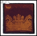 YELLOW EYES -- Patch (4).jpg