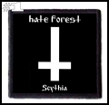 HATE FOREST -- Patch (1).jpg