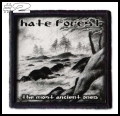 HATE FOREST -- Patch (2).jpg