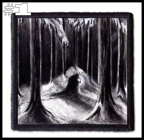HAVUKRUUNU -- Patch (1).jpg