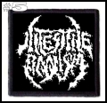 INTESTINE BAALISM -- Patch (5).jpg