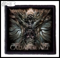 MORTAL DECAY -- Patch (3).jpg