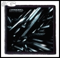 NORTHLANE -- Patch (6).jpg