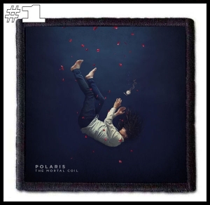 POLARIS -- Patch