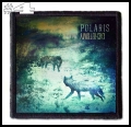POLARIS AU -- Patch (4).jpg
