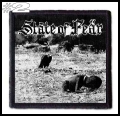 STATE OF FEAR -- Patch (2).jpg