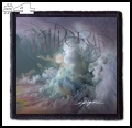 WILDERUN -- Patch (4).jpg