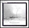GALLHAMMER -- Patch (2).jpg