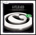GOTTHARD -- Patch (9).jpg