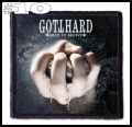 GOTTHARD -- Patch (10).jpg