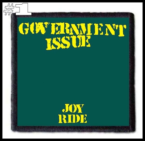 GOVERMENT ISSUE -- Patch (1).jpg