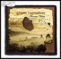 GREEN CARNATION -- Patch (5).jpg