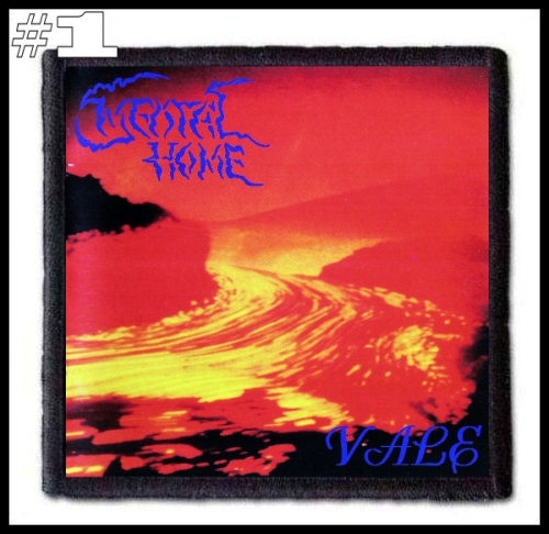 MENTAL HOME -- Patch (1).jpg