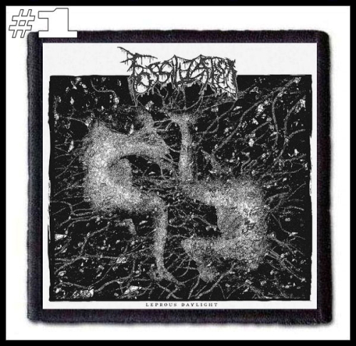 FOSSILIZATION -- Patch (1).jpg