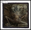 FOSSILIZATION -- Patch (2).jpg