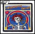 THE GRATEFUL DEAD -- patch (7).jpg