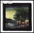 FLEETWOOD MAC -- Patch (15).jpg