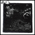 NORTT -- Patch (4).jpg