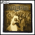 NASUM -- Patch (2).jpg