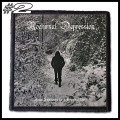 NOCTURNAL DEPRESSION -- Patch (2).jpg