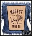 MODEST MOUSE.jpg