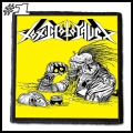 TOXIC HOLOCAUST Patch (1).jpg