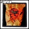 DISMEMBER -- Patch (18).jpg