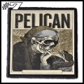 PELICAN -- Patch (7).jpg