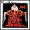 SODOM PATCH  (13).jpg