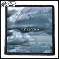 PELICAN -- Patch (2).jpg