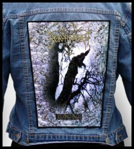 Ekran BORKNAGAR - The Olden Domain