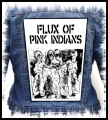 FLUX OF PINK INDIANS.jpg