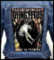 DYING FETUS - Stop at Nothing -- Backpatch.jpg