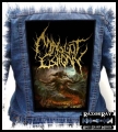 MAGGOT COLONY - Vile Reincarnation.jpg